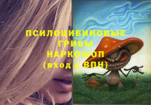спиды Вязьма